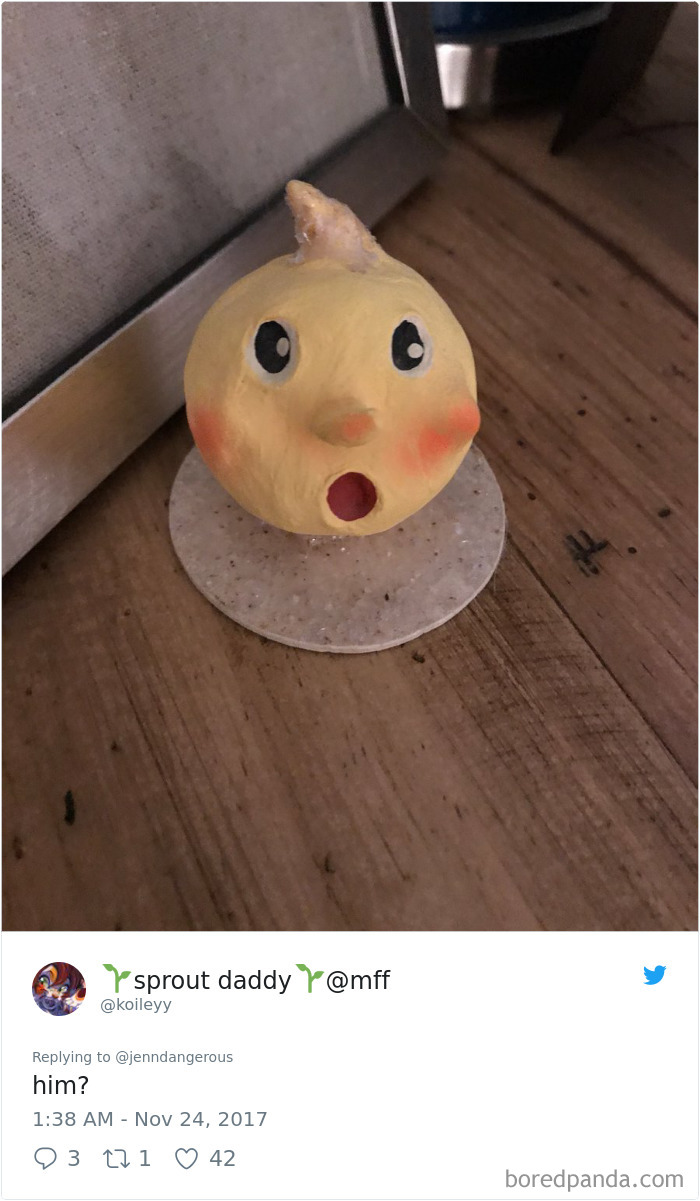 Weird Things Found At Parents House