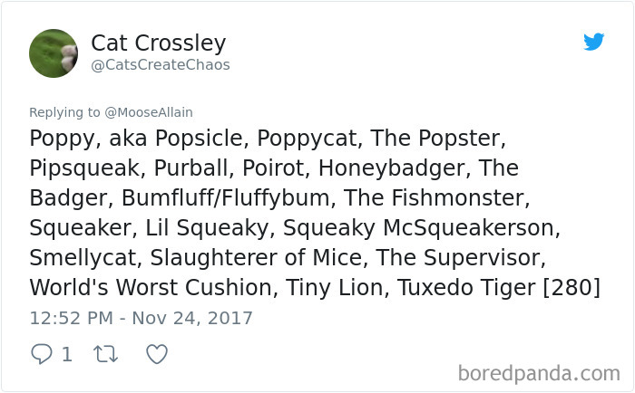 Tweet listing hilarious alternative pet names like Popsicle, Honeybadger, and World's Worst Cushion shared by people renaming their pets.