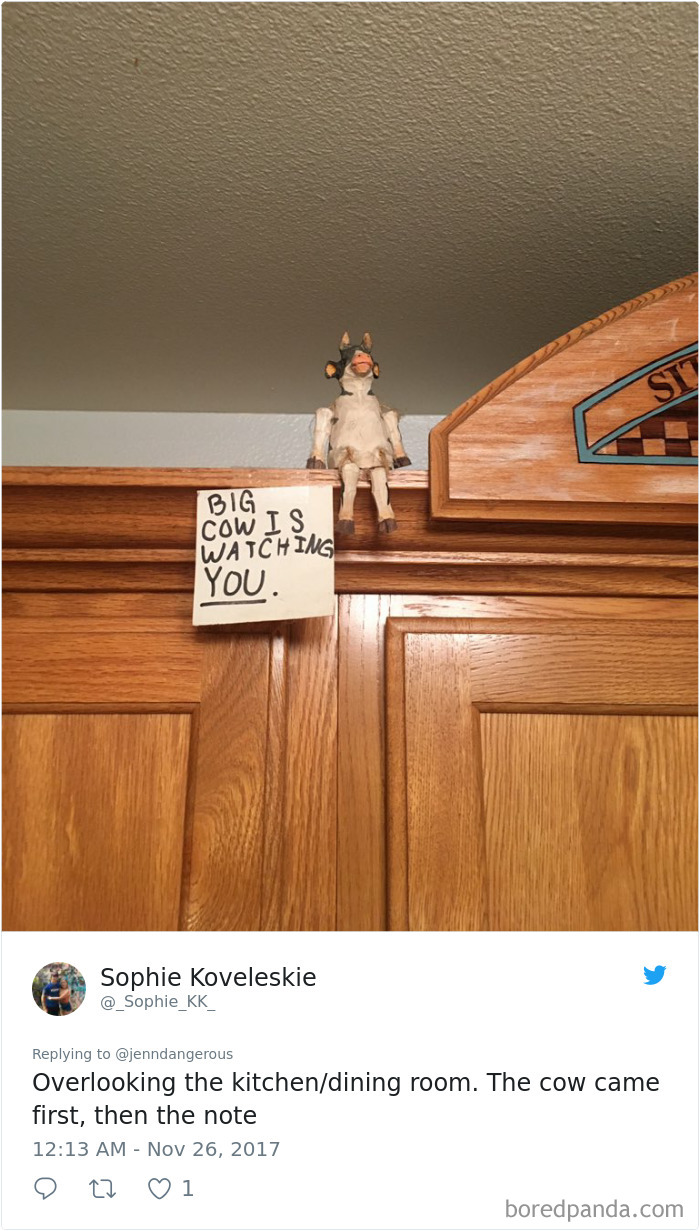 Weird Things Found At Parents House