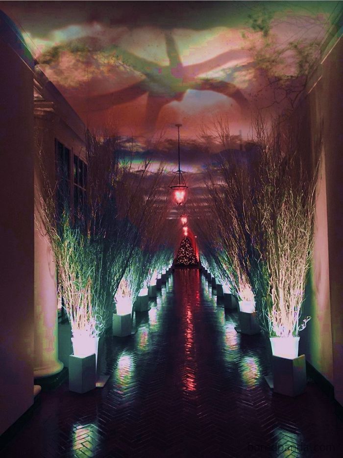 White House Christmas Decorations
