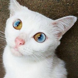 bhavsarharshal213 avatar