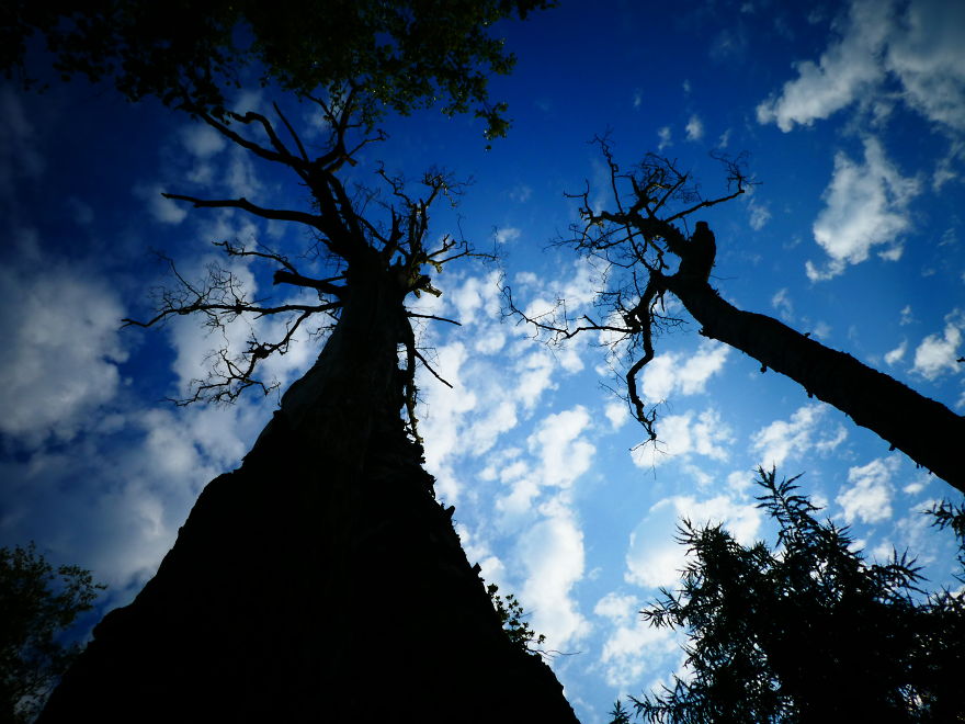 A Mighty 4 Months 2100km Walk And €21 000 For A Good Cause