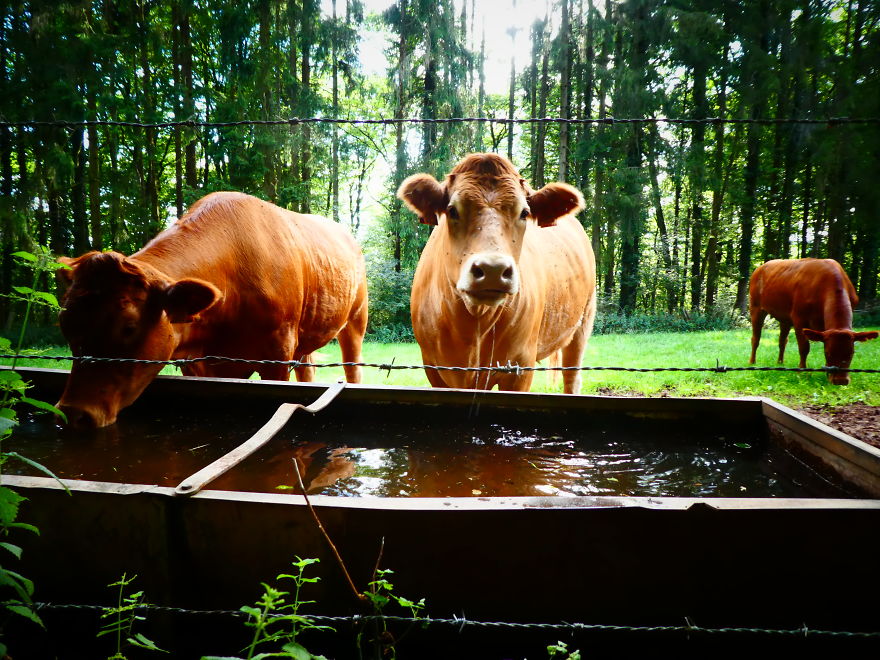 A Mighty 4 Months 2100km Walk And €21 000 For A Good Cause