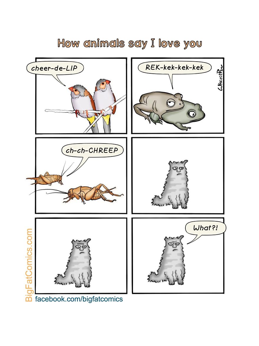 My Name Is Dan, And I Draw Big Fat Comics