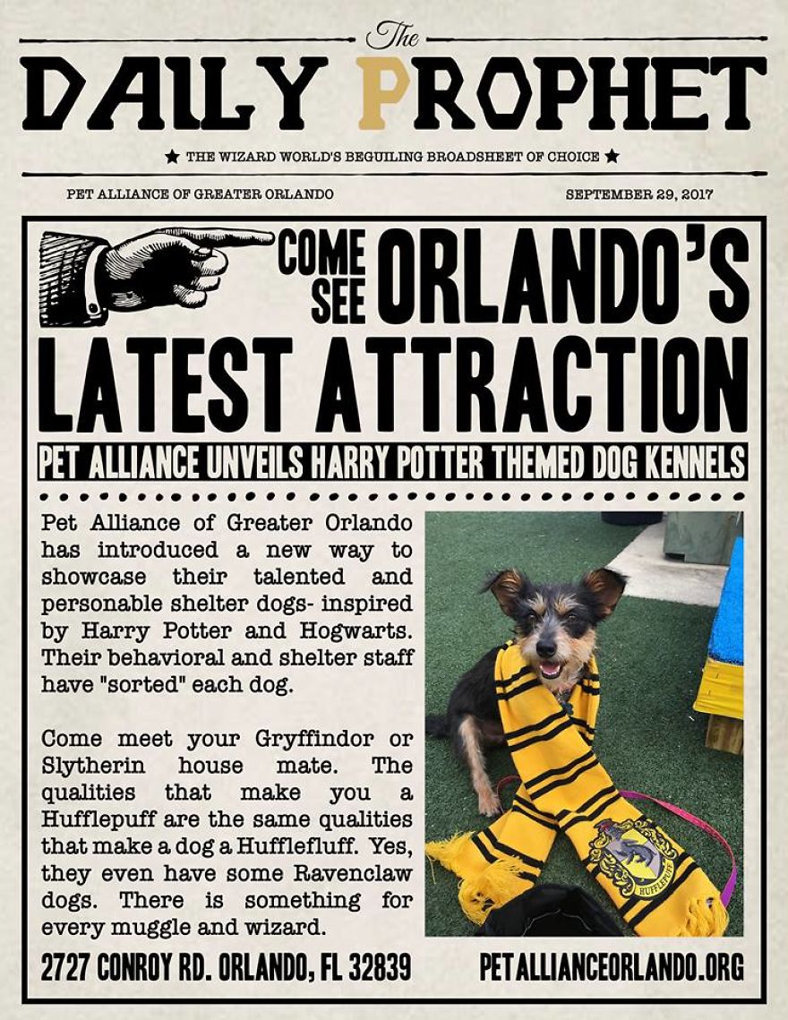 Animal Shelter Sorts Dogs Into Harry Potter "Pawgwarts" Houses To Encourage Adoption Based On Personality Rather Than Breed Animal Shelter Sorts Dogs Into Harry Potter "Pawgwarts" Houses To Encourage Adoption Based On Personality Rather Than Breed