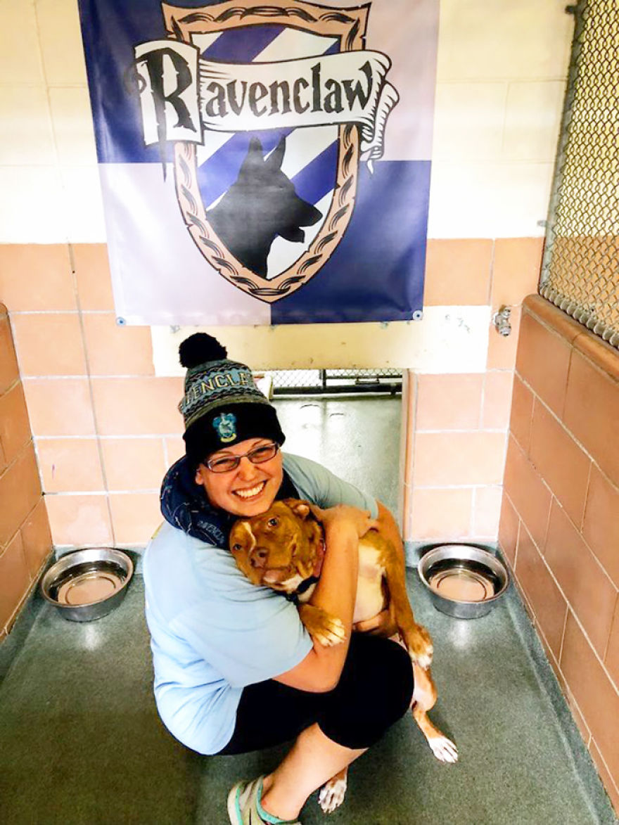 Animal Shelter Sorts Dogs Into Harry Potter "Pawgwarts" Houses To Encourage Adoption Based On Personality Rather Than Breed Animal Shelter Sorts Dogs Into Harry Potter "Pawgwarts" Houses To Encourage Adoption Based On Personality Rather Than Breed