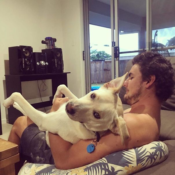 The Smug Look She Gives Me When She's Trying To Steal My Man