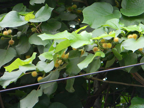 Wildlife Sanctuary In Chhattisgarh