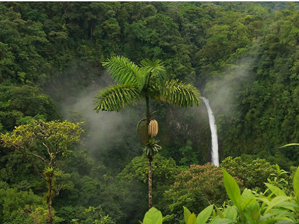 Wildlife Sanctuary In Chhattisgarh Wildlife Sanctuary In Chhattisgarh
