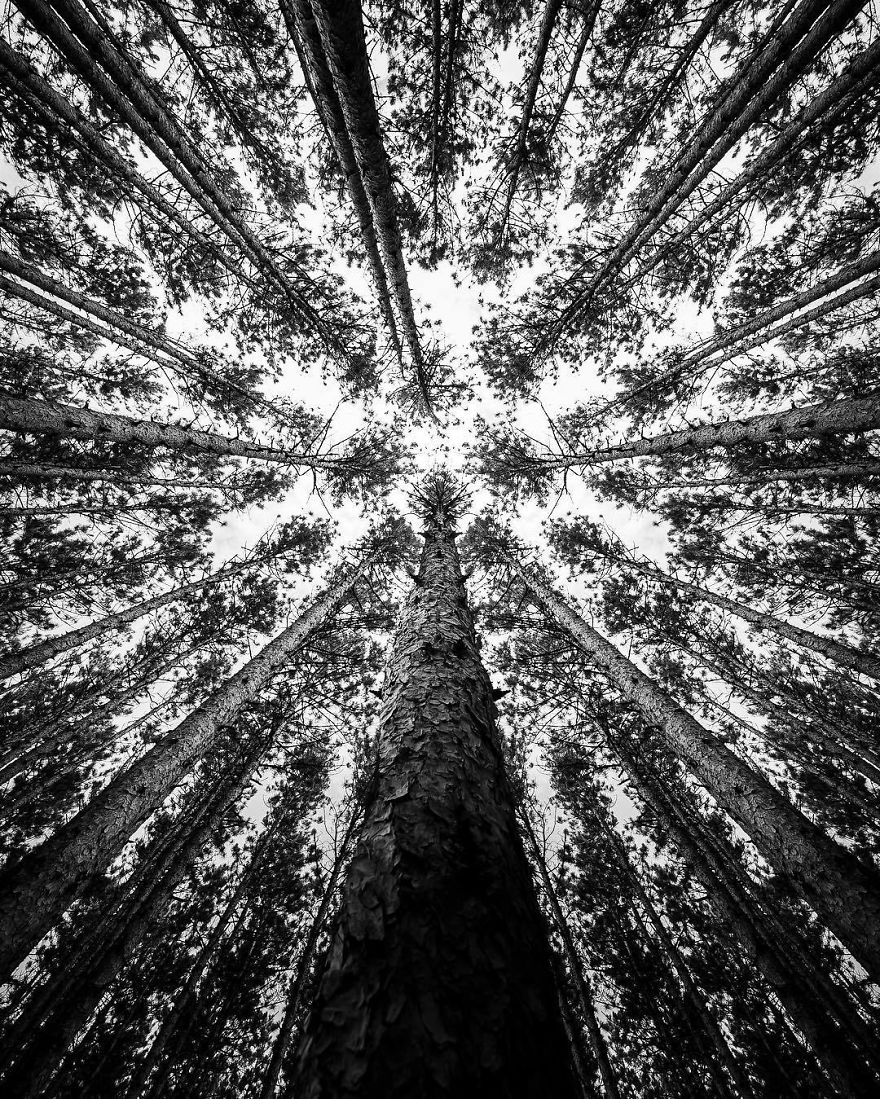 Black-White-Photography-Jason-Peterson