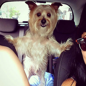 helloeightbitdesigns