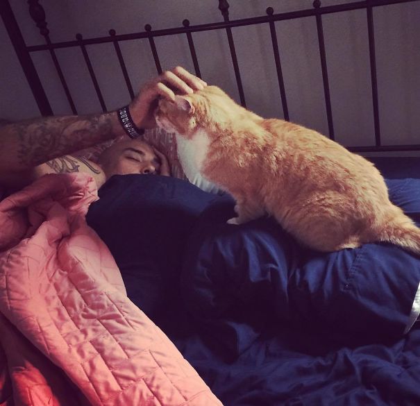 Steal Your Pillow, Steal Your Man