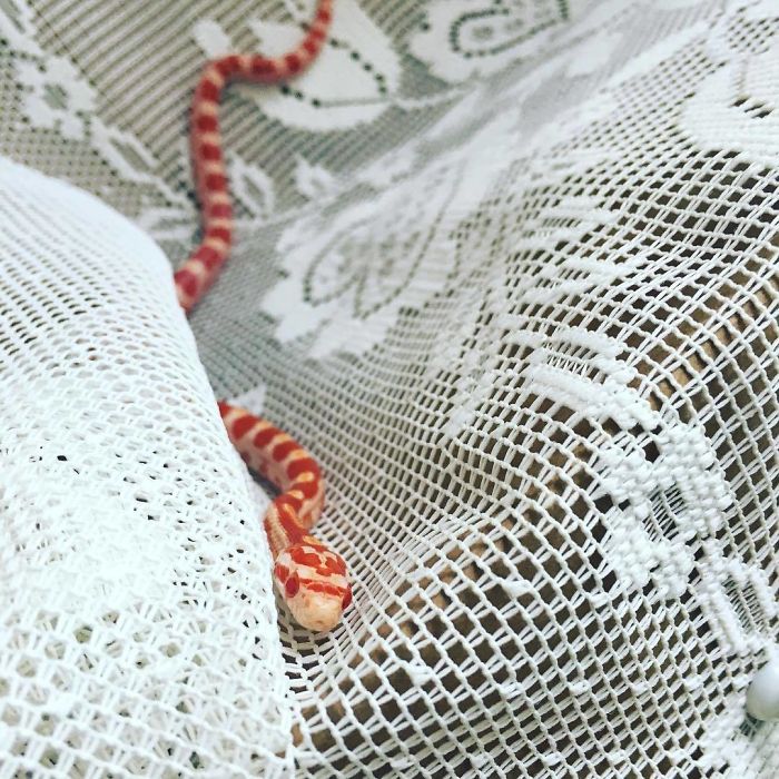 When Bae Looks At You With Those Eyes