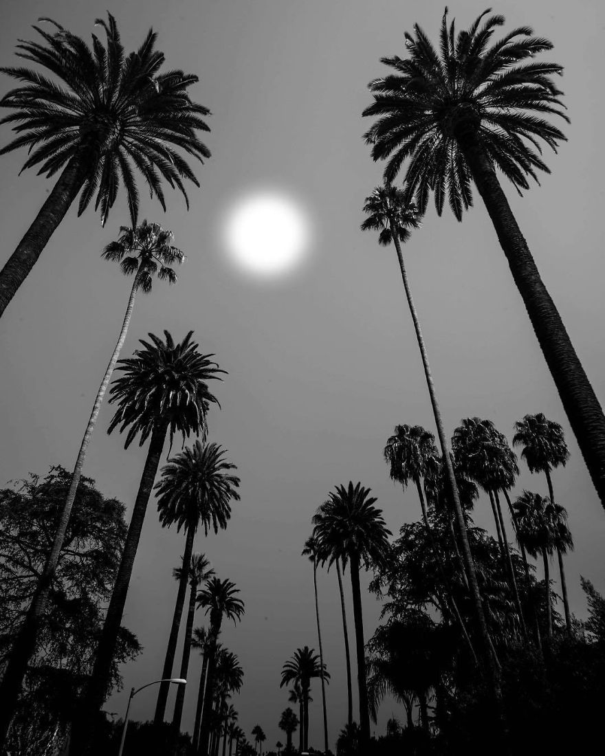 Black-White-Photography-Jason-Peterson