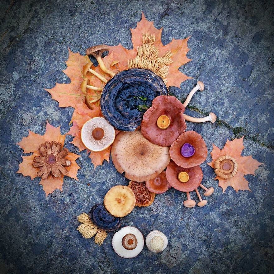 Mushroom Art Vol. 4 🍄
the Minute I Posted These A Teacher Friend Asked If She Could Show These At Her Nature Art Class For Inspiration. So Cool! I Wish I Would Have Had Nature Art Classes When I Was A Kid! 😍