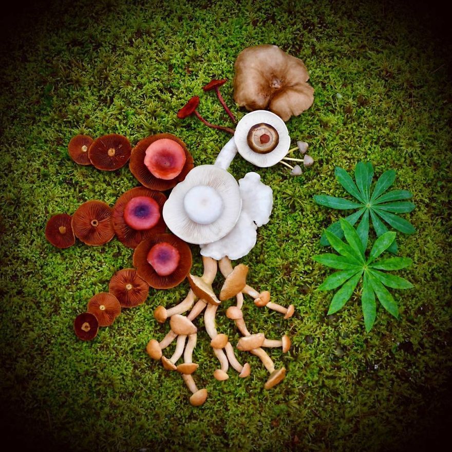 Finnish Forest Dreaming, Vol. 4 🍄