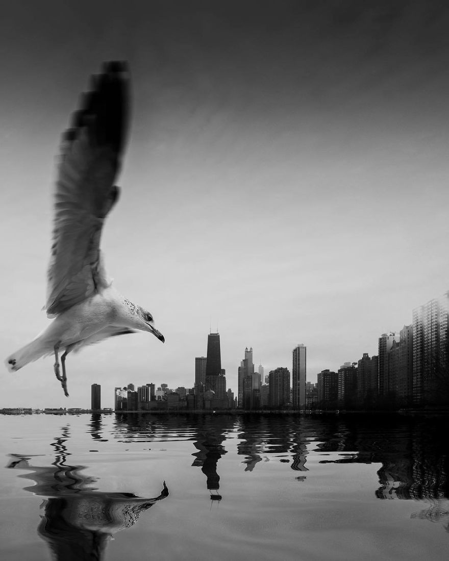 Black-White-Photography-Jason-Peterson