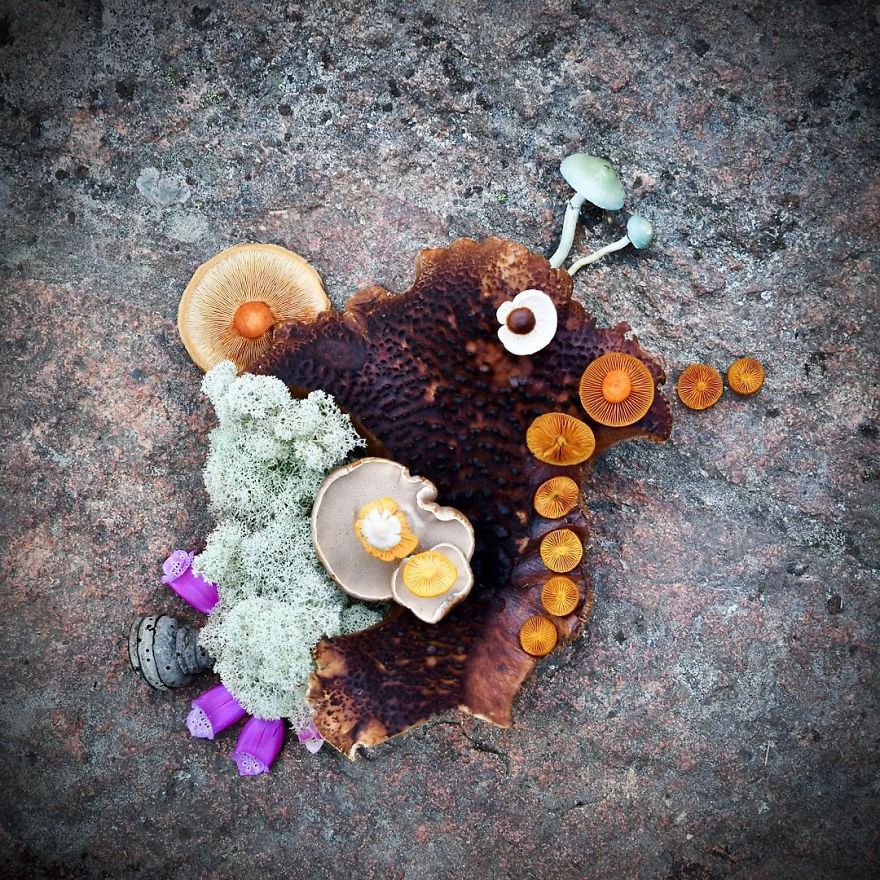 This Big, Brown, Broken Mushroom Was Right In The Middle Of A Popular Nature Path - I Just Decorated It A Bit. 😄 Once I Had Taken This Photo I Stayed Close By To Pick Some Edible Mushrooms. It Was Fun To See Many Bypassers Stop And Wonder What It's About. 🍄
.