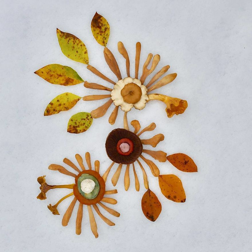 Mushrooms On Snow, Part 2. 🍄❄️ Does This Remind You Of Something?
.
.
.