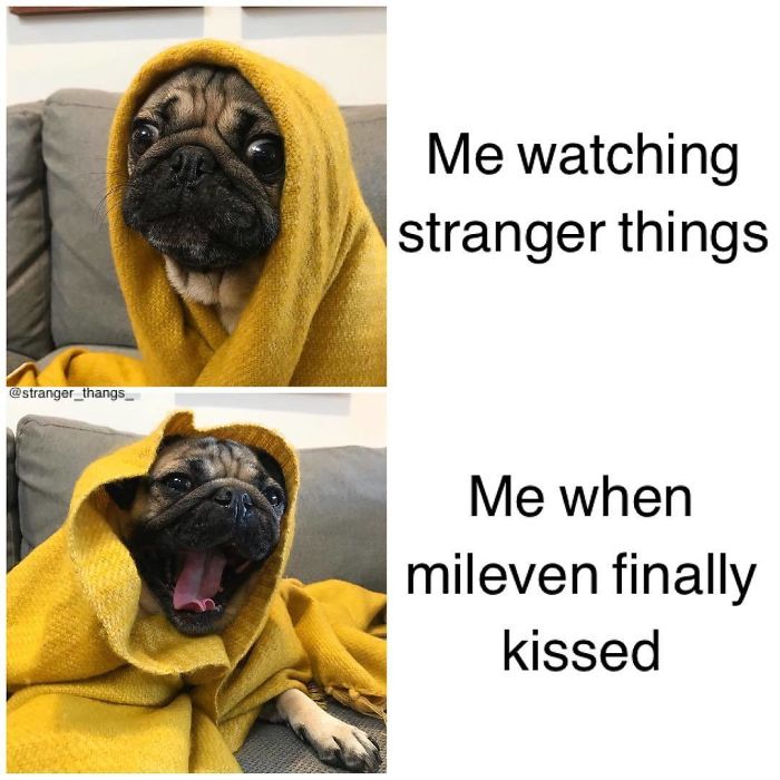 Pug wrapped in a yellow blanket reacting humorously to Stranger Things scenes.