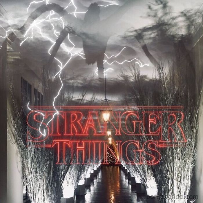 White House Christmas Decorations