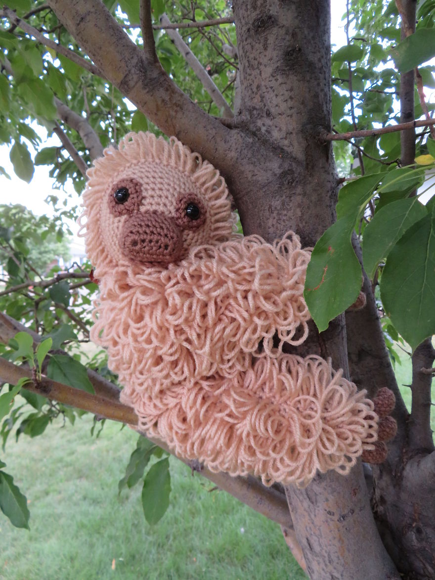 Bosco The Yarn Sloth Is Taking The World By Storm And You Can Add To His Journey