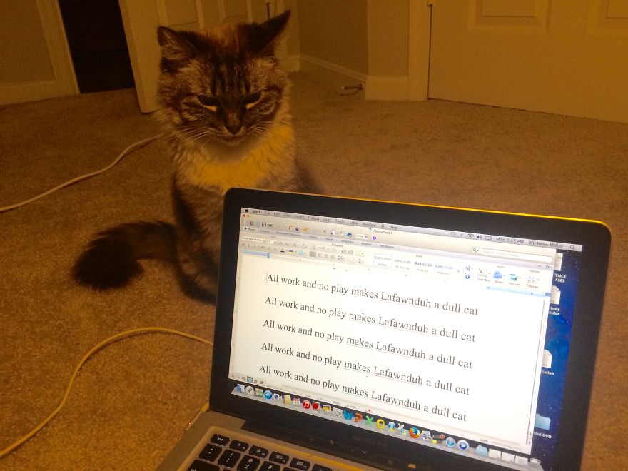 The Tail Of A Testy Kitty The Tail Of A Testy Kitty