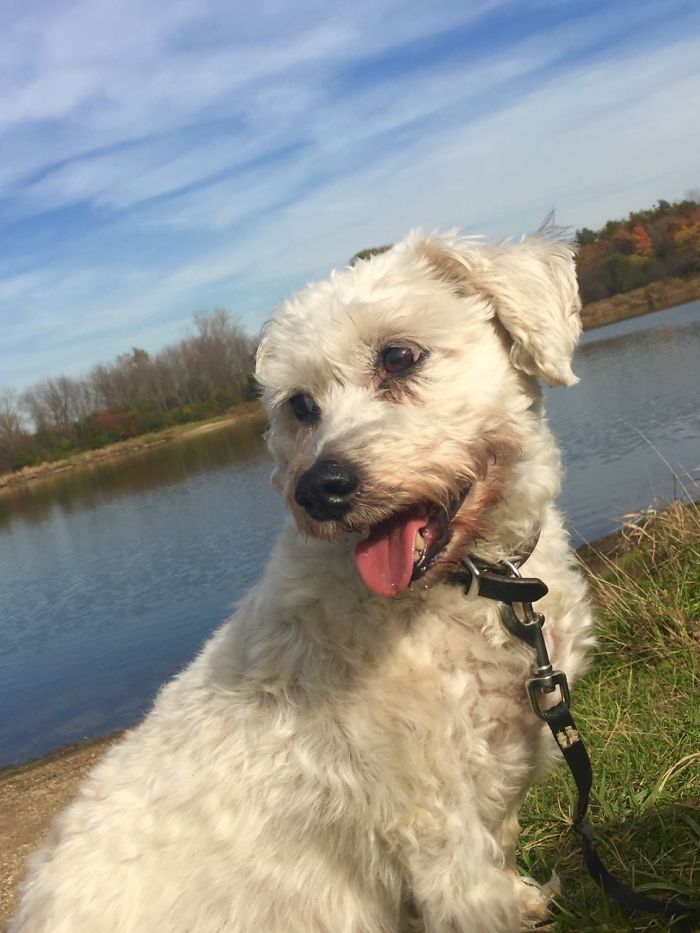 Andrew ❤️❤️❤️