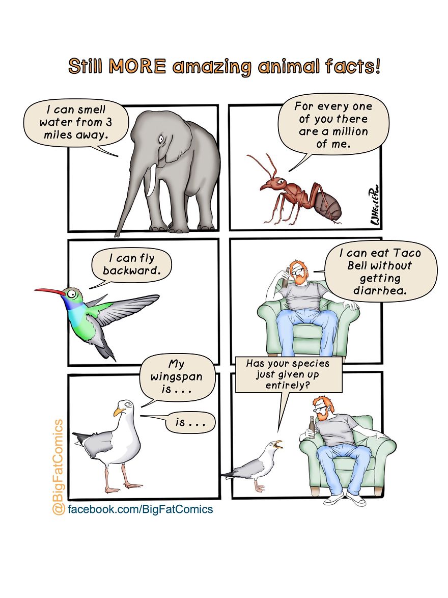 My Name Is Dan, And I Draw Big Fat Comics