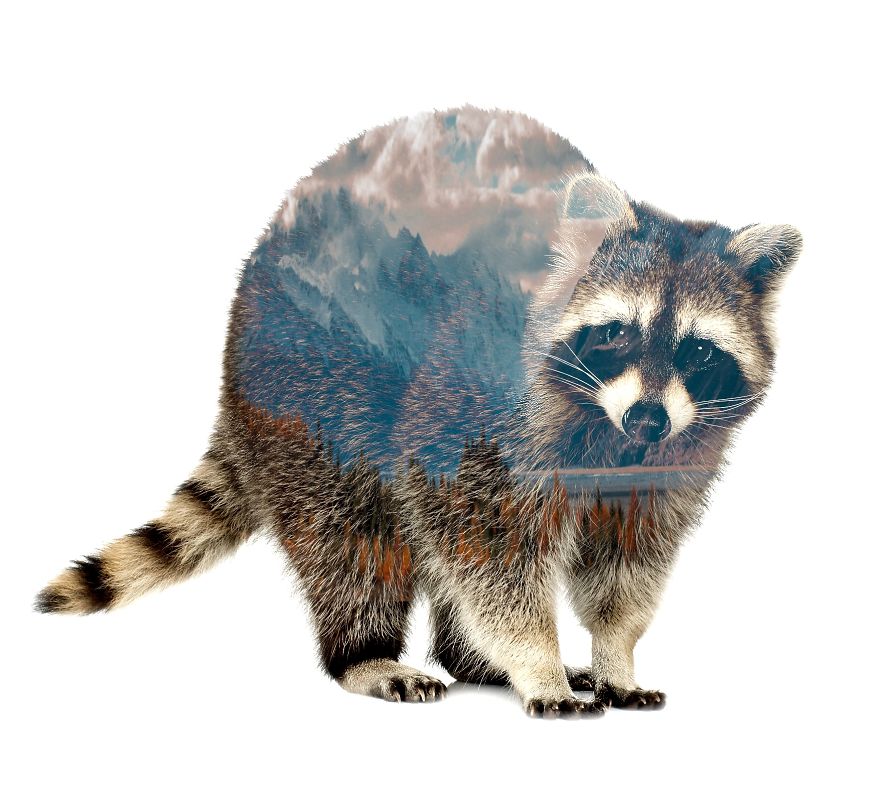 I Use Double Exposure To Create A Series That Merge Wildlife With Landscapes I Use Double Exposure To Create A Series That Merge Wildlife With Landscapes