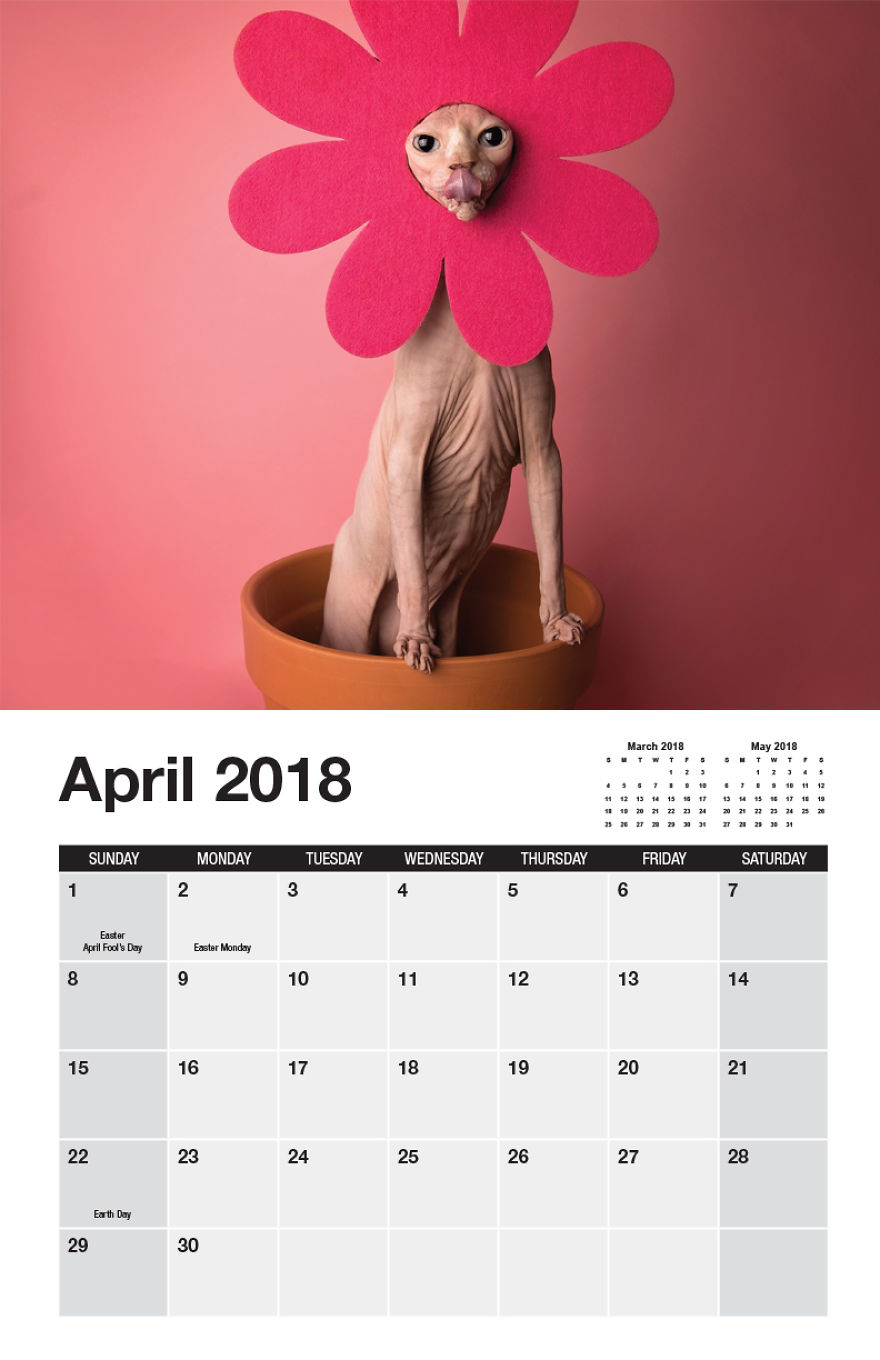 I Made A Calendar Of Sphynx Cats For 2018 That Takes Nude To A Whole New Level