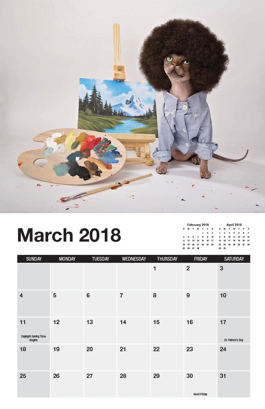 I Made A Calendar Of Sphynx Cats For 2018 That Takes Nude To A Whole New Level I Made A Calendar Of Sphynx Cats For 2018 That Takes Nude To A Whole New Level
