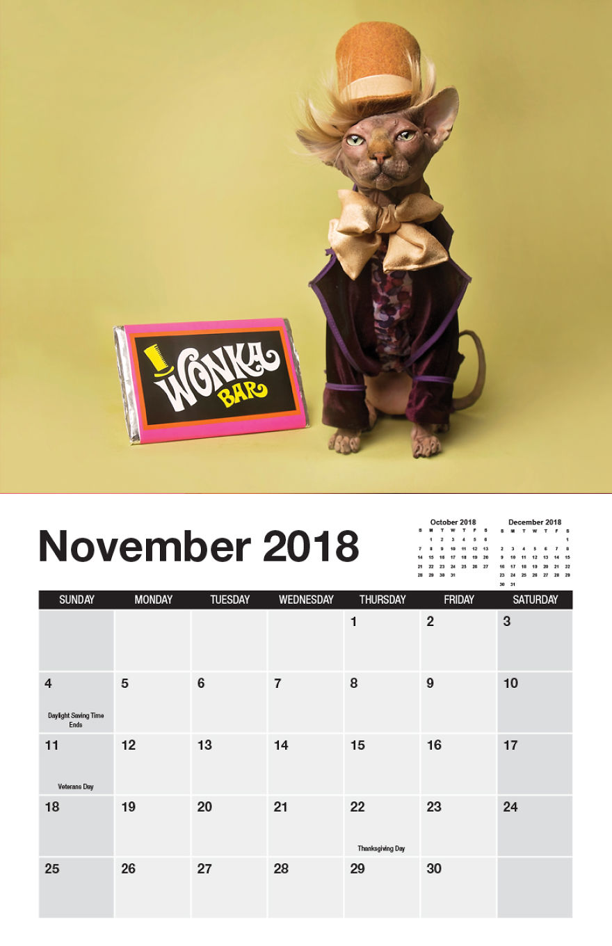 I Made A Calendar Of Sphynx Cats For 2018 That Takes Nude To A Whole New Level I Made A Calendar Of Sphynx Cats For 2018 That Takes Nude To A Whole New Level