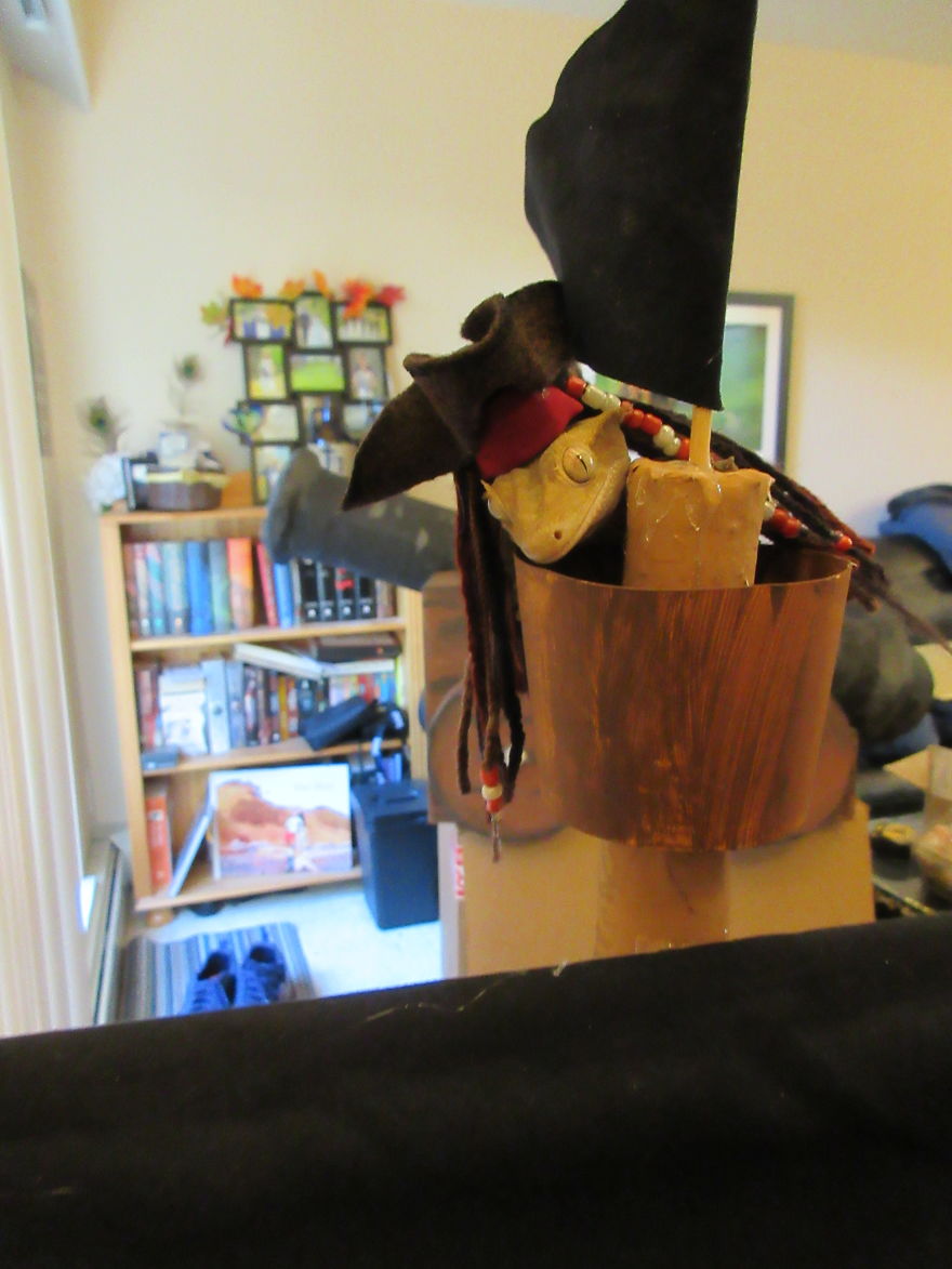 Captain Jack Gecko Captain Jack Gecko