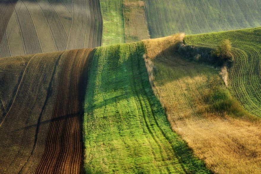 I Traveled To The Czech Republic To Photograph Moravian-Tuscany In Autumn I Traveled To The Czech Republic To Photograph Moravian-Tuscany In Autumn
