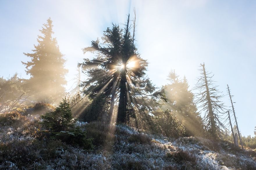 Incredible Temperature Inversion In The Karkonosze Mountains