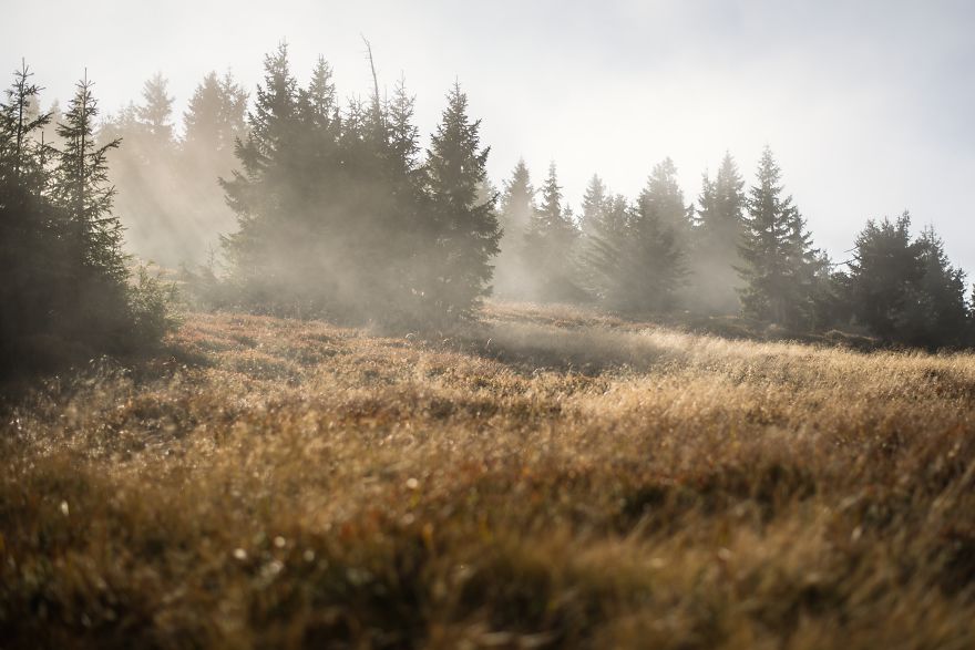 Incredible Temperature Inversion In The Karkonosze Mountains