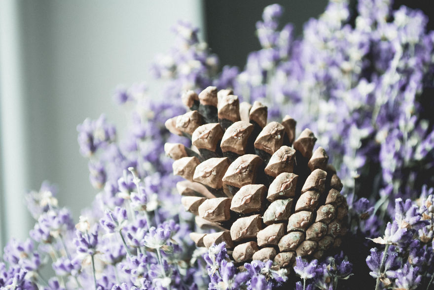 I Give You 10 Tips How To Take Amazing Photos Of A Boring Object!