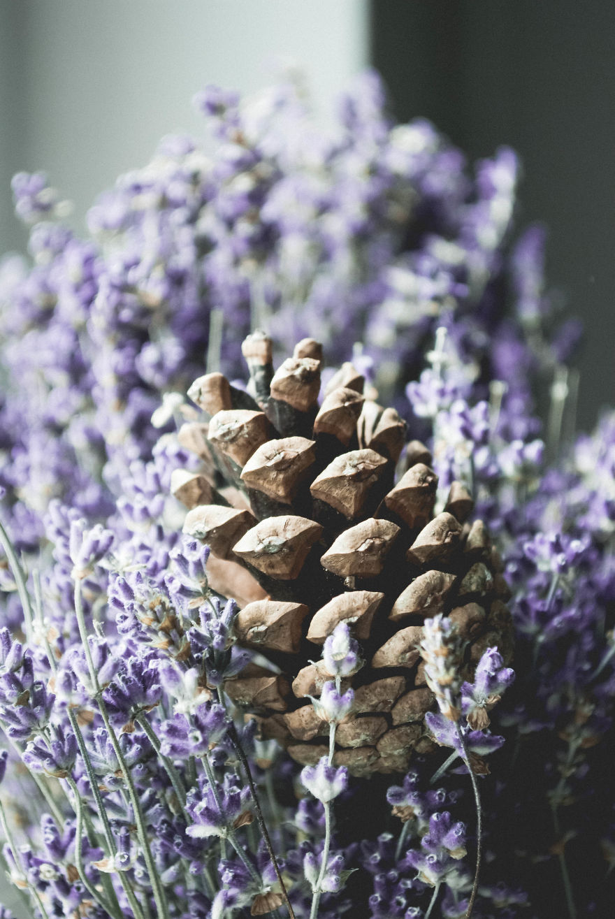 I Give You 10 Tips How To Take Amazing Photos Of A Boring Object! I Give You 10 Tips How To Take Amazing Photos Of A Boring Object!