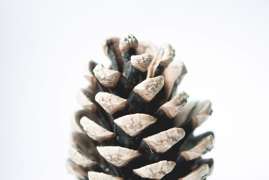 I Give You 10 Tips How To Take Amazing Photos Of A Boring Object! I Give You 10 Tips How To Take Amazing Photos Of A Boring Object!