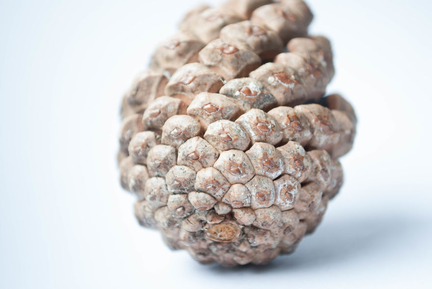 I Give You 10 Tips How To Take Amazing Photos Of A Boring Object! I Give You 10 Tips How To Take Amazing Photos Of A Boring Object!