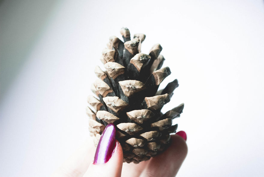 I Give You 10 Tips How To Take Amazing Photos Of A Boring Object! I Give You 10 Tips How To Take Amazing Photos Of A Boring Object!