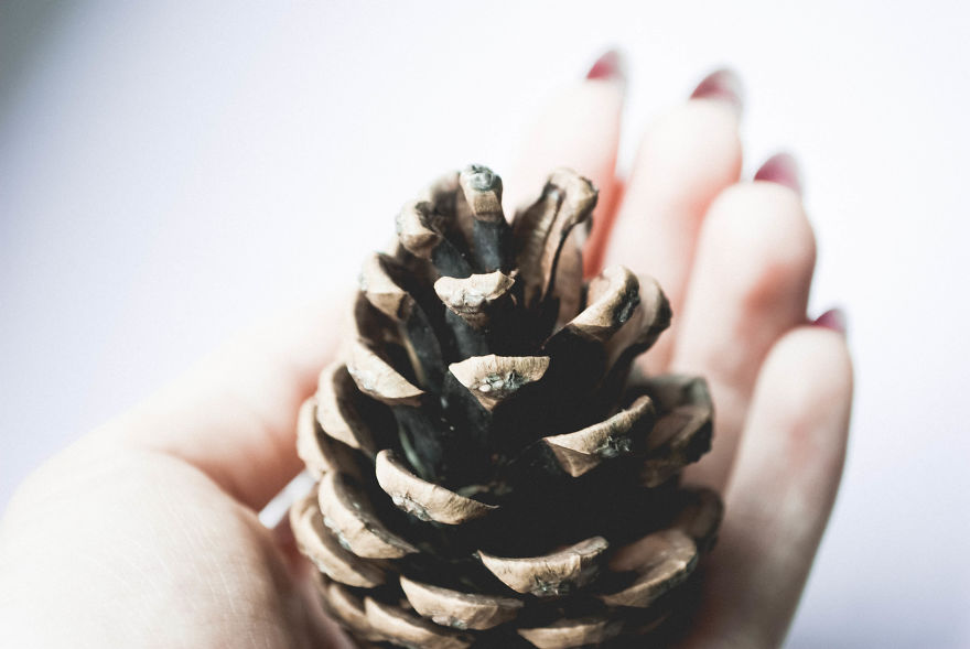 I Give You 10 Tips How To Take Amazing Photos Of A Boring Object!