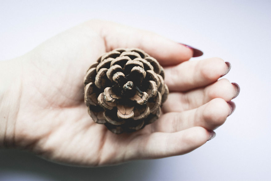 I Give You 10 Tips How To Take Amazing Photos Of A Boring Object! I Give You 10 Tips How To Take Amazing Photos Of A Boring Object!