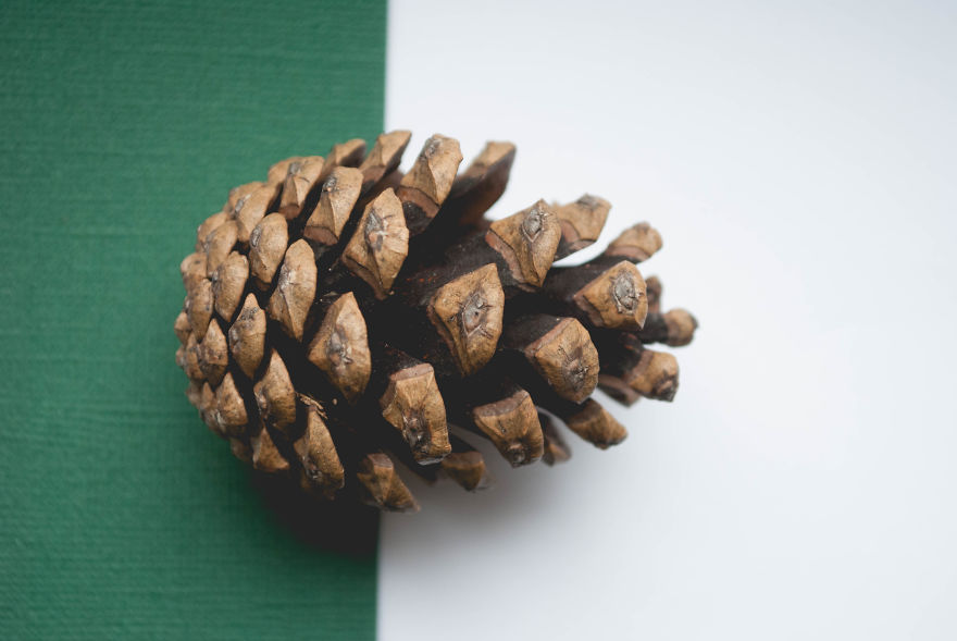 I Give You 10 Tips How To Take Amazing Photos Of A Boring Object! I Give You 10 Tips How To Take Amazing Photos Of A Boring Object!