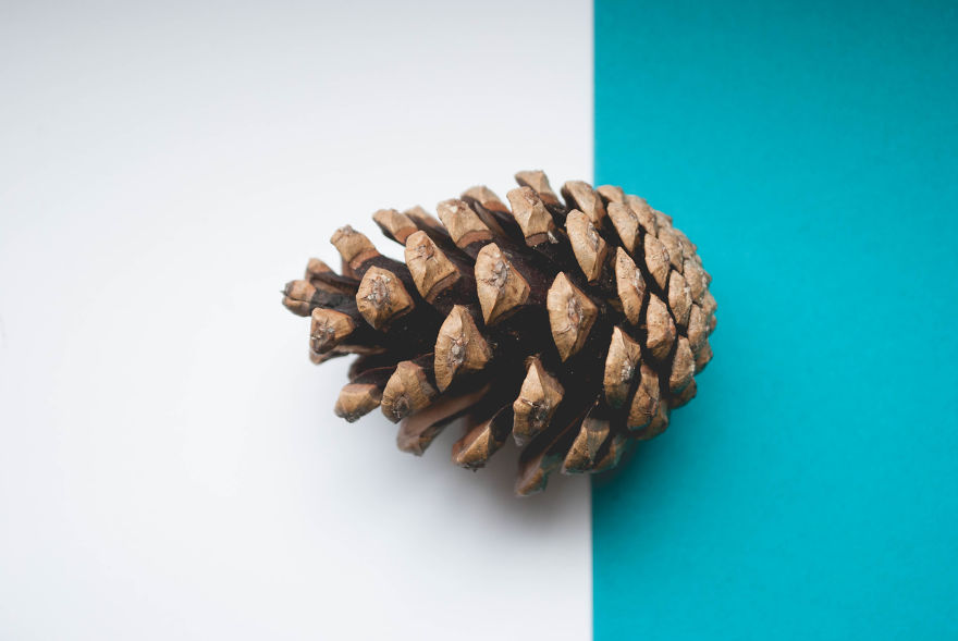 I Give You 10 Tips How To Take Amazing Photos Of A Boring Object! I Give You 10 Tips How To Take Amazing Photos Of A Boring Object!