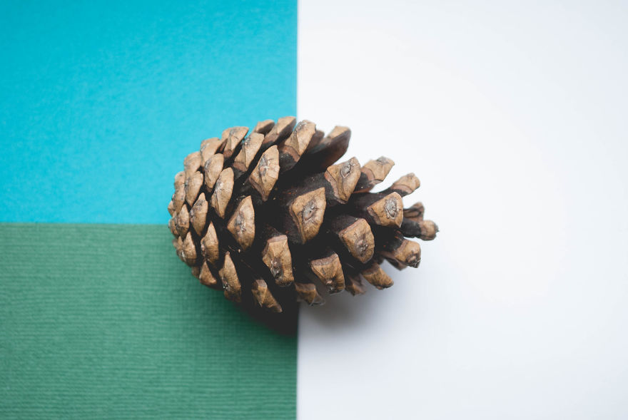 I Give You 10 Tips How To Take Amazing Photos Of A Boring Object! I Give You 10 Tips How To Take Amazing Photos Of A Boring Object!