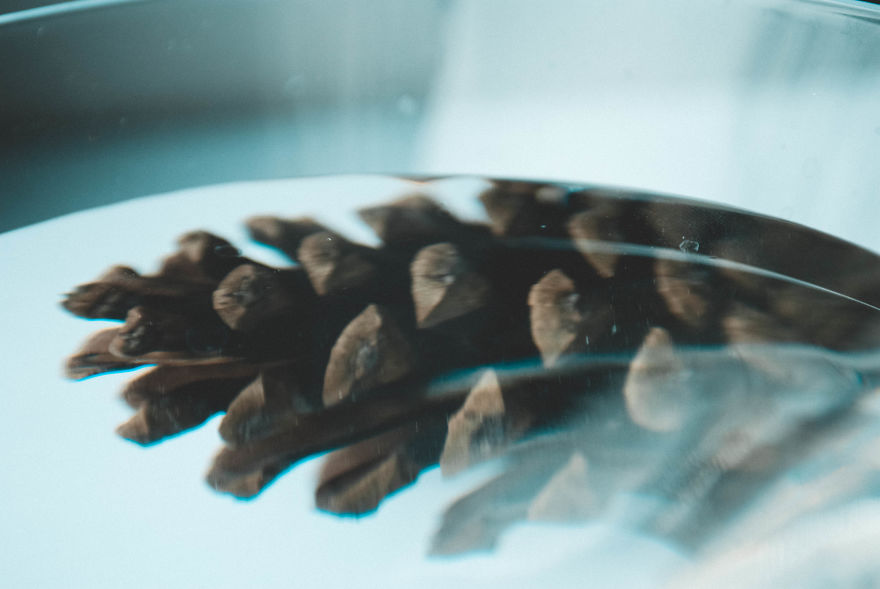 I Give You 10 Tips How To Take Amazing Photos Of A Boring Object! I Give You 10 Tips How To Take Amazing Photos Of A Boring Object!