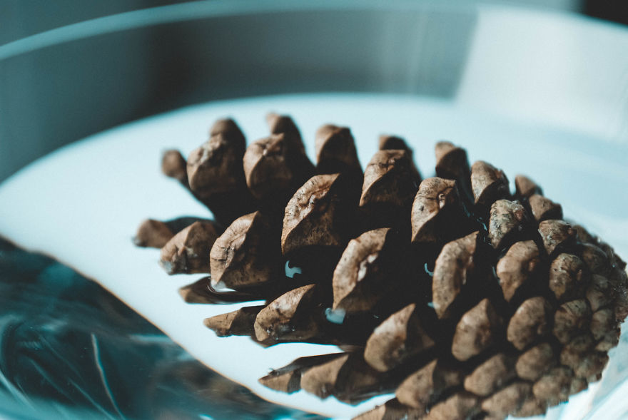 I Give You 10 Tips How To Take Amazing Photos Of A Boring Object! I Give You 10 Tips How To Take Amazing Photos Of A Boring Object!