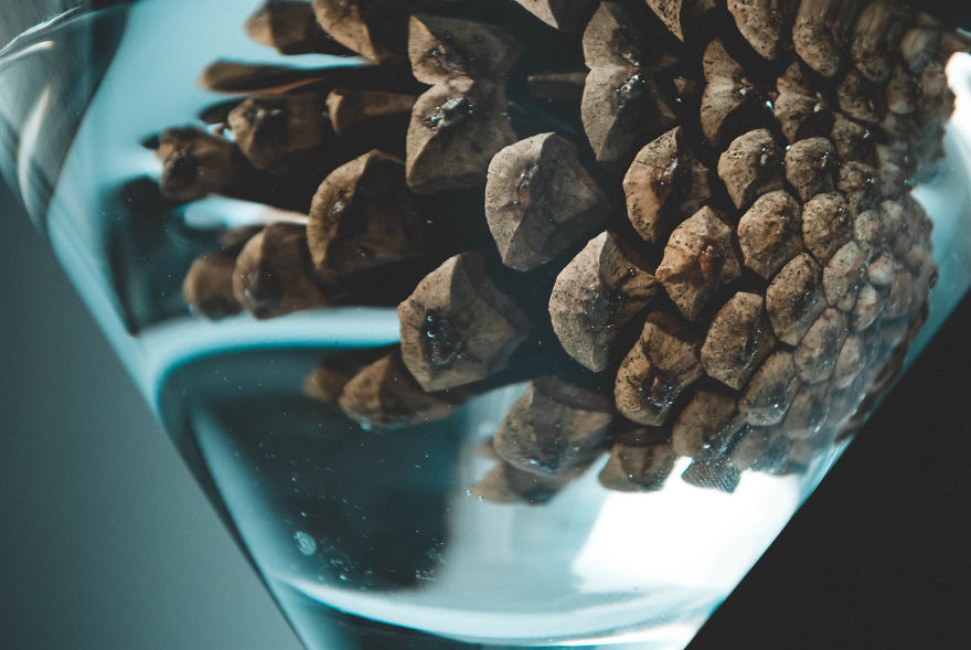 I Give You 10 Tips How To Take Amazing Photos Of A Boring Object! I Give You 10 Tips How To Take Amazing Photos Of A Boring Object!